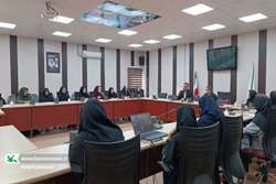 دوره‌ی آموزشی کارگاه هنری تکنیک‌های حجم‌سازی در کانون پرورش فکری سیستان و بلوچستان در حال برگزاری است